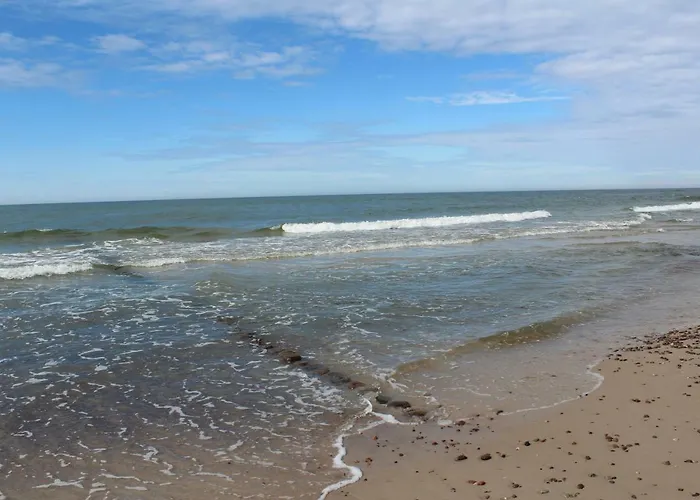 Larida Nyaraló Sarbinowo